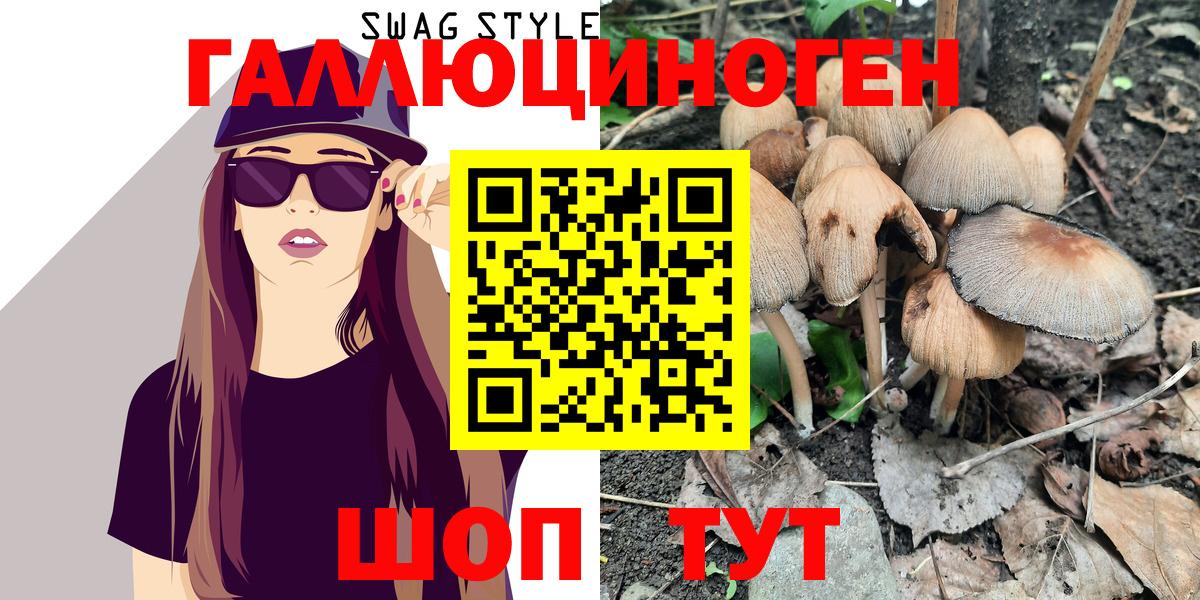Тамбов  Галлюциногенные грибы Psilocybe  Галлюциногенные грибы GOLDEN TEACHER  Вход с VPN 